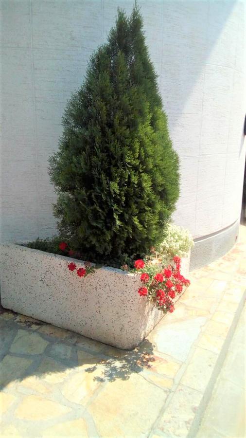Hotel Tehnograd Kraljevo Buitenkant foto
